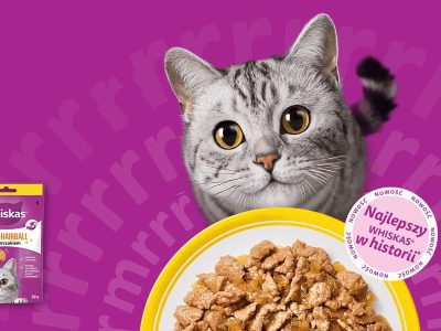 whiskas cashback